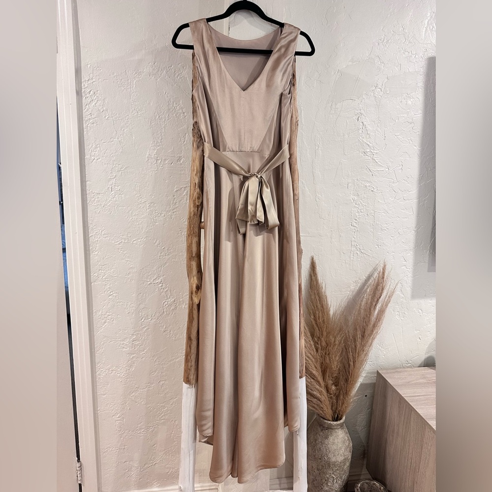 SALONI Jen Dress in Champagne Size US 4 - Picture 7 of 13